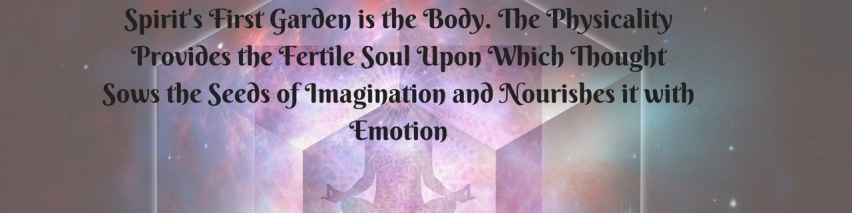 Spirits-first-garden-is-the-body.-The-physicality-provides-the-fertile-soul-upon-which-thought-sows-the-seeds-of-imagination-and-nourishes-it-with-emotion