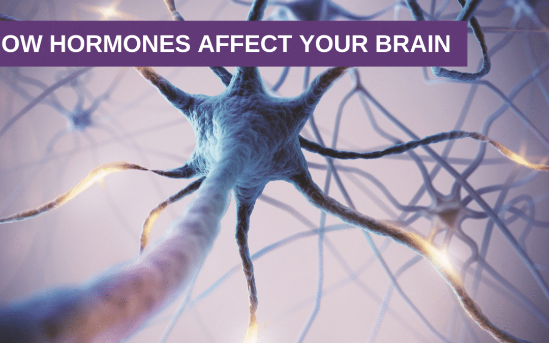 How Hormones Affect Your Brain