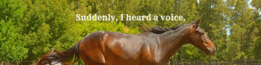 Suddenly-I-heard-a-voice