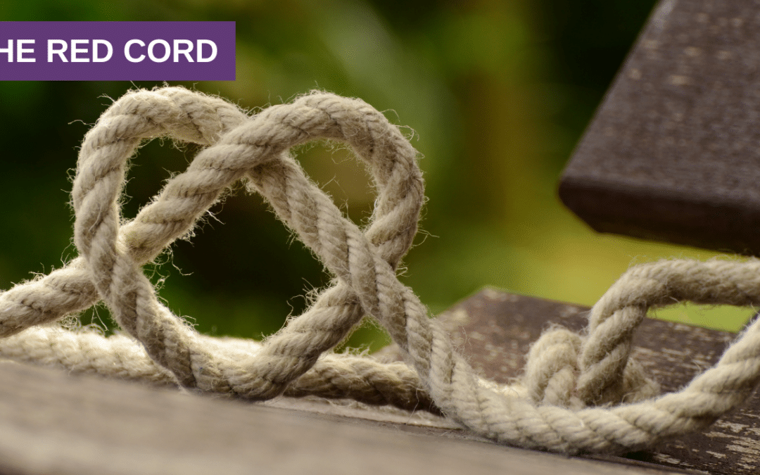 13. THE RED CORD
