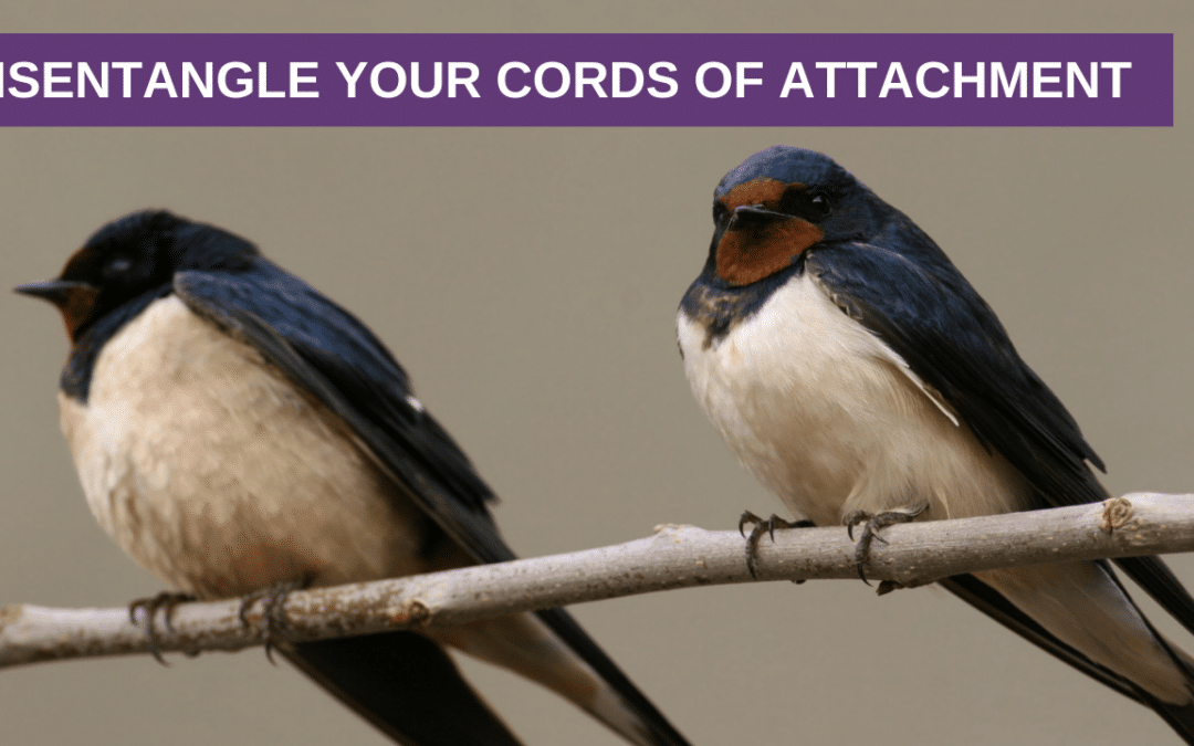 Disentangle Your Cords of Attachment