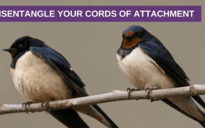 Disentangle Your Cords of Attachment