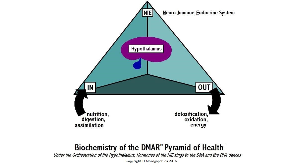 DMAR Pyramid of Health