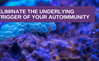 Eliminate the underlying trigger of your Autoimmunity