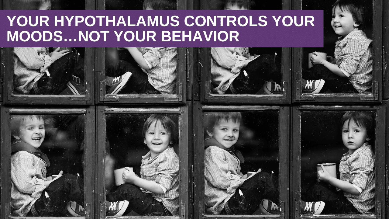 Your Hypothalamus Controls Your Moods…Not Your Behavior