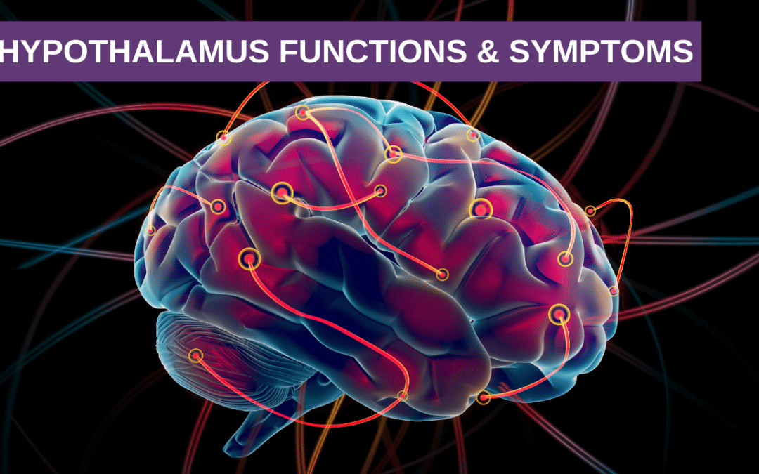5 Hypothalamus Functions & Symptoms