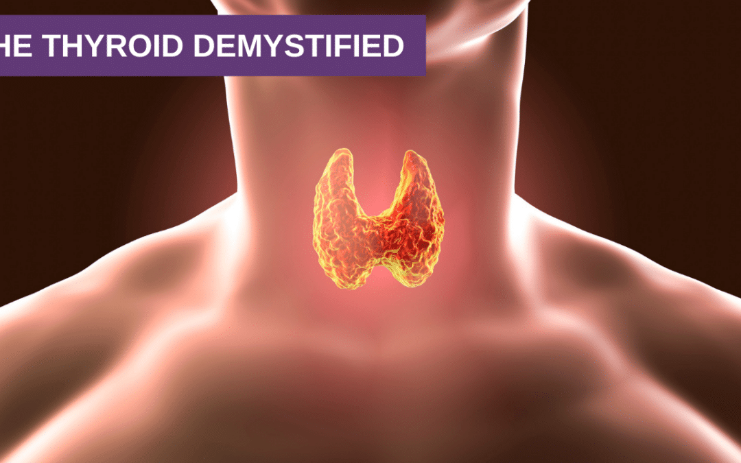 The Thyroid Demystified