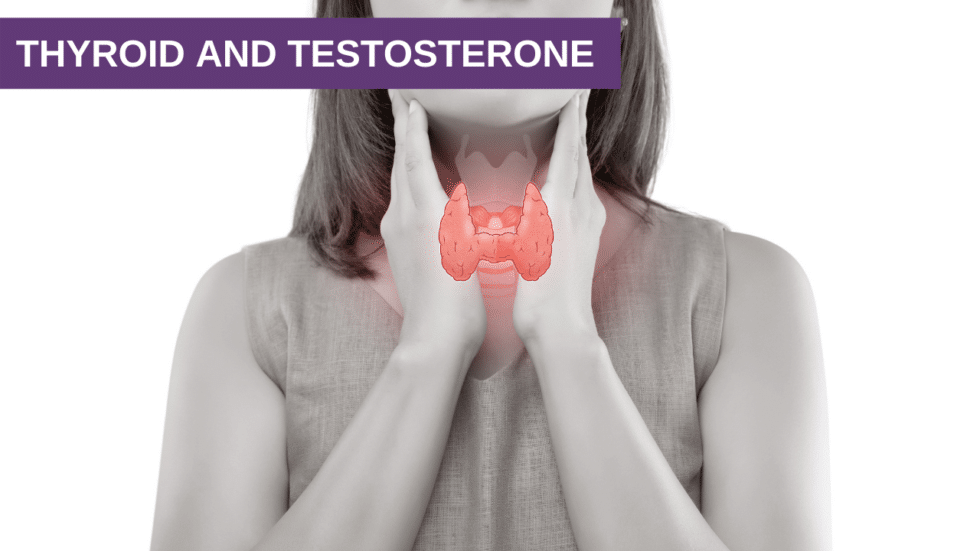 Thyroid and Testosterone Genesis Gold