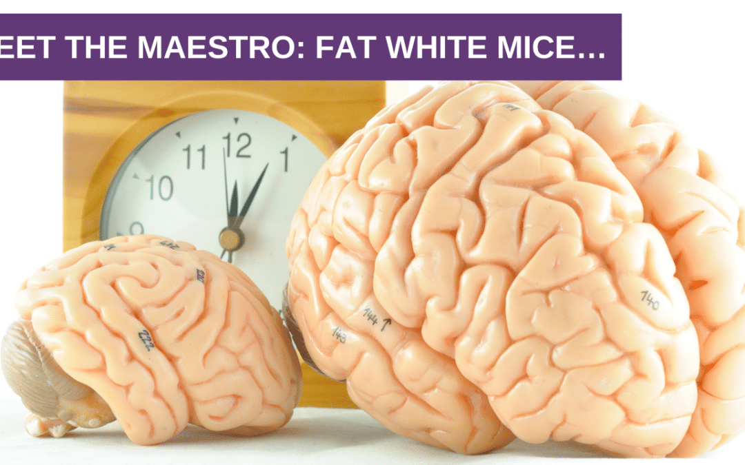 Meet The Maestro: Fat White Mice…