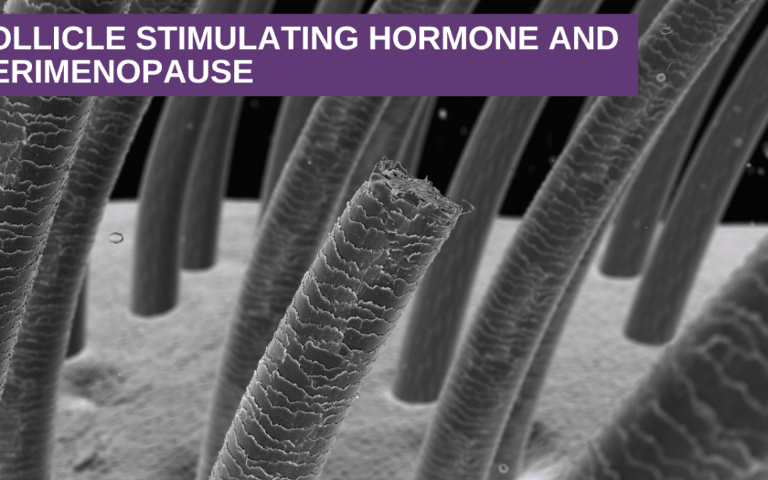 Follicle Stimulating Hormone and Perimenopause