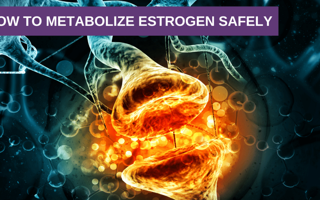 Estradiol and Estrone Hormones | How To Metabolize Estrogen Safely