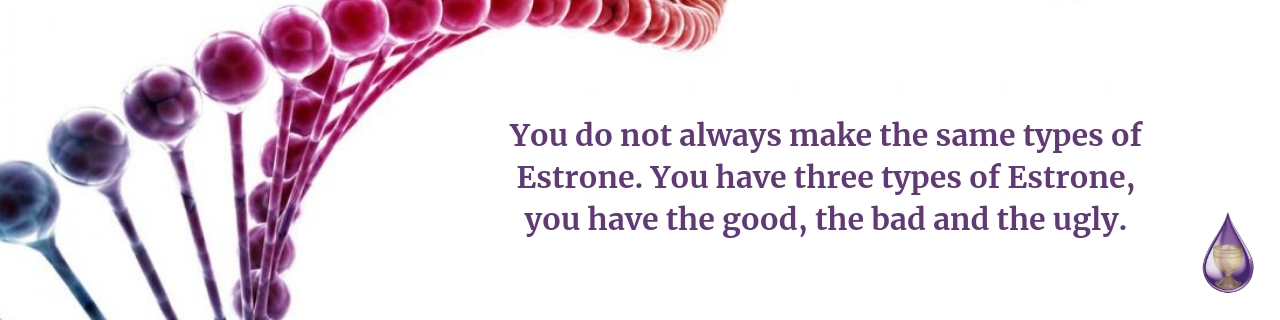 estradiol and estrone hormones