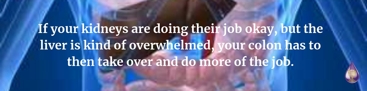 hormones digestion header
