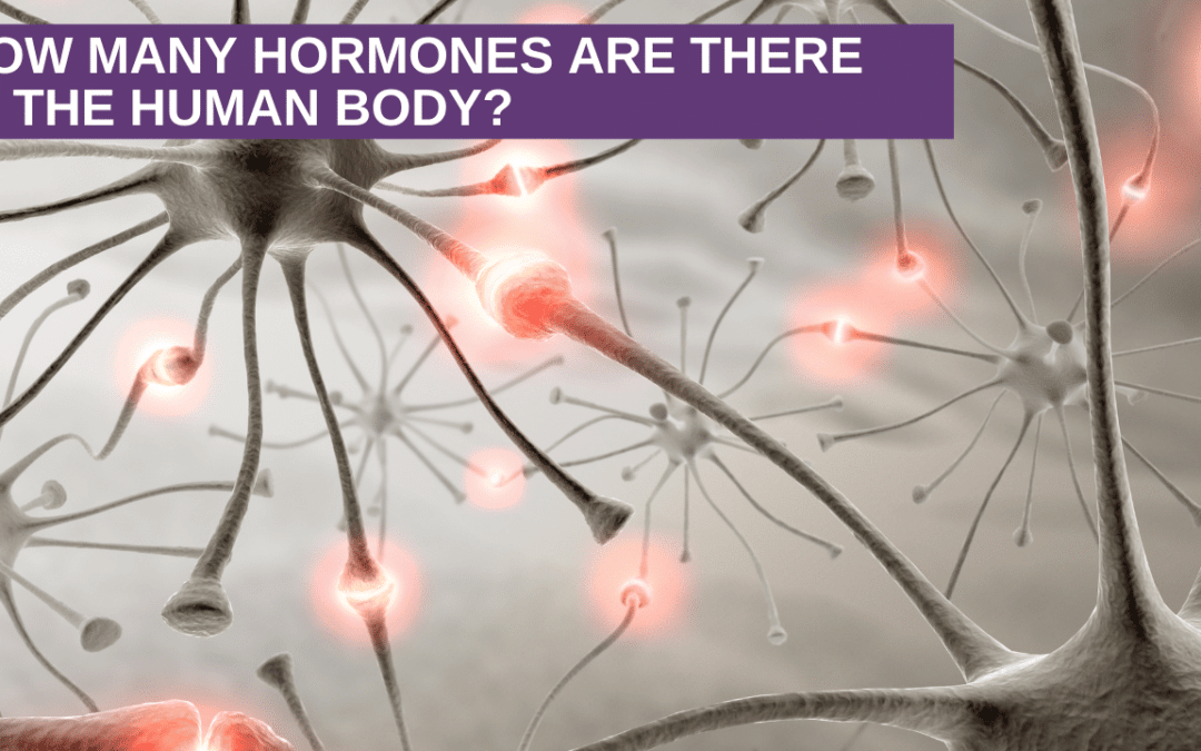 How Many Hormones Are There In The Human Body?