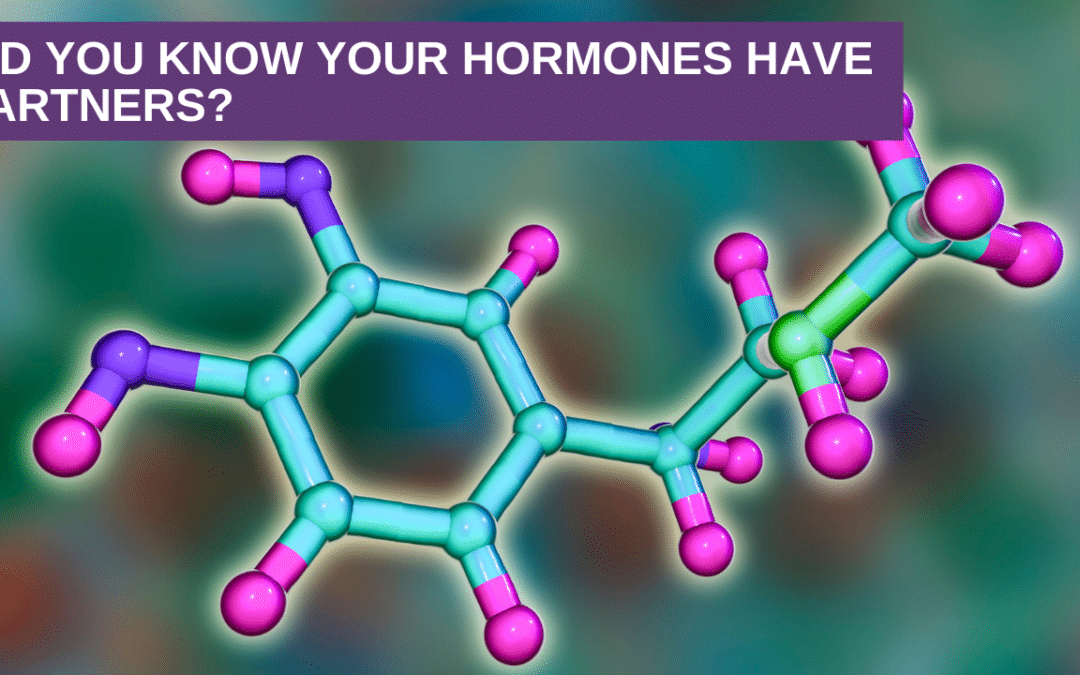 Did You know Your Hormones have Partners?