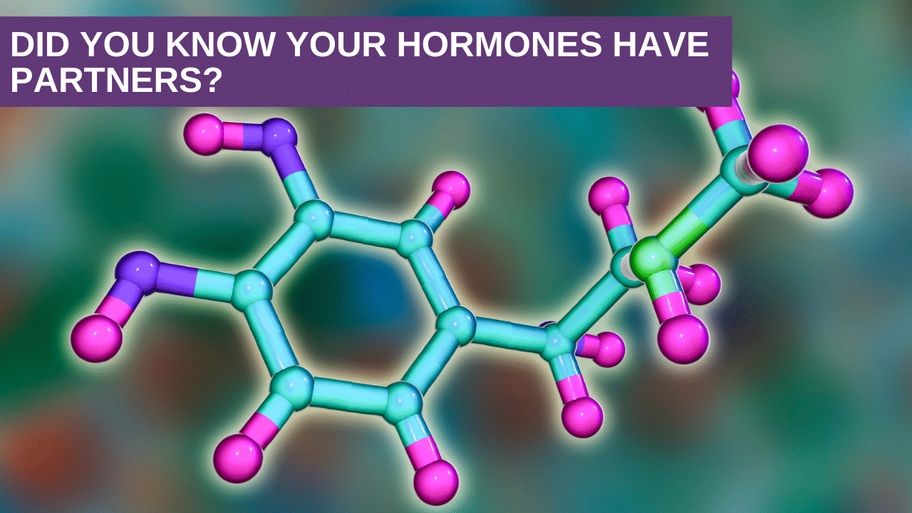 Did You know Your Hormones have Partners?