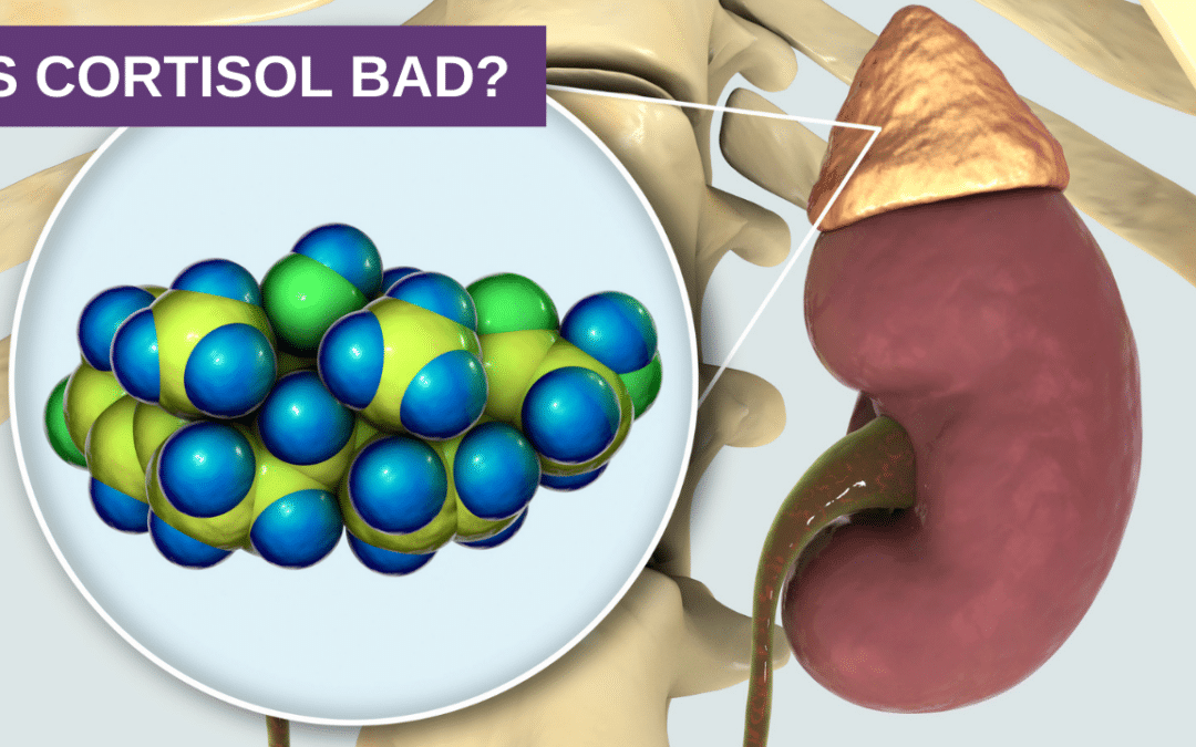 Is Cortisol Bad?