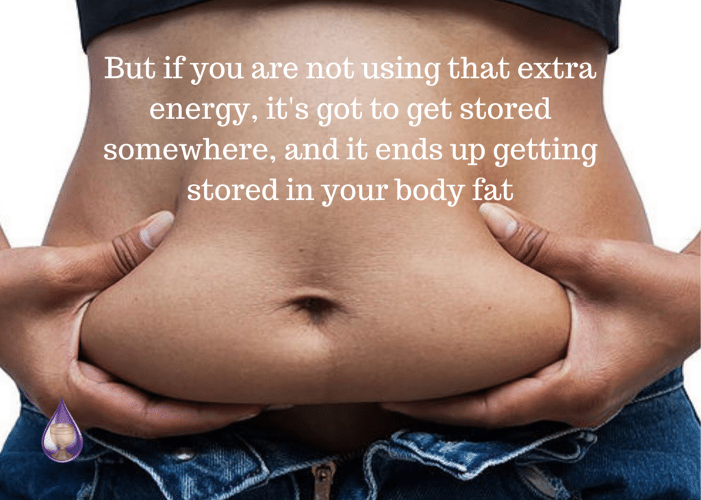 stored body fat