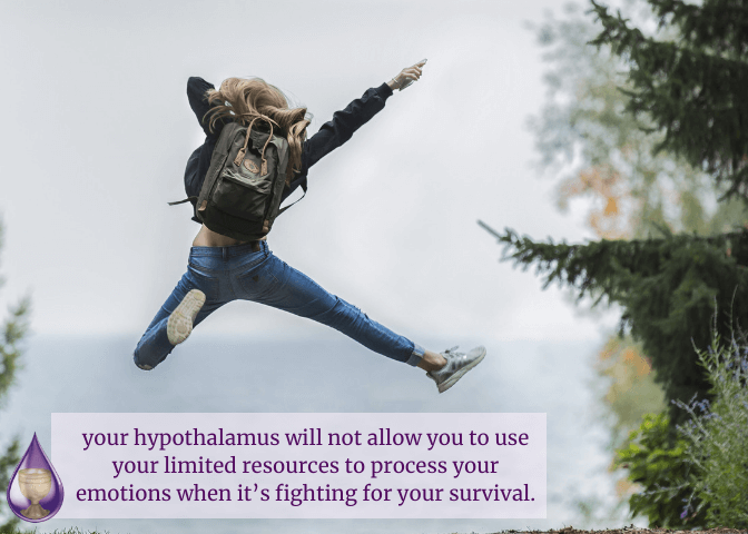 Feel your Emotions, Heal your Hormones