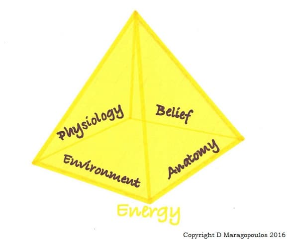 DMAR Pyramid of Health