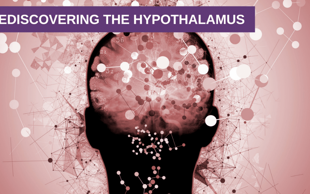 Rediscovering the Hypothalamus
