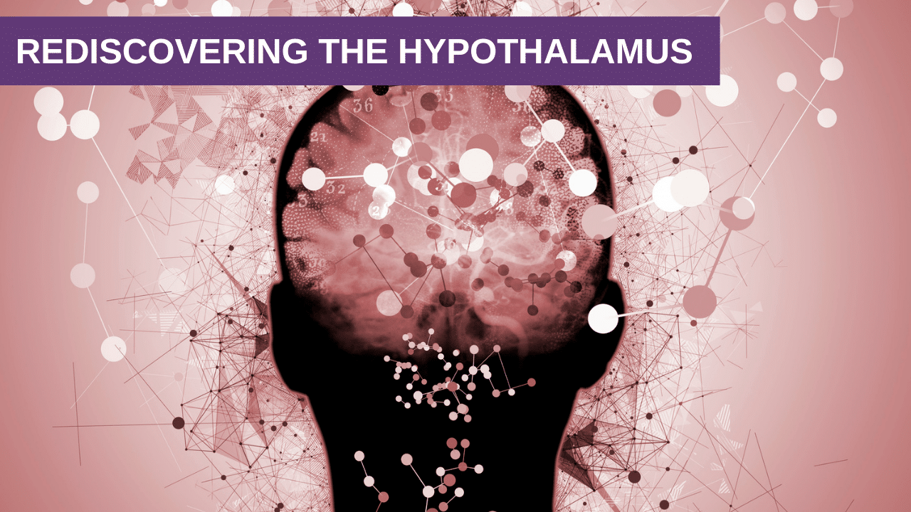 Rediscovering the Hypothalamus