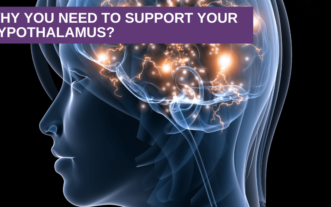 Why You Need to Support Your Hypothalamus