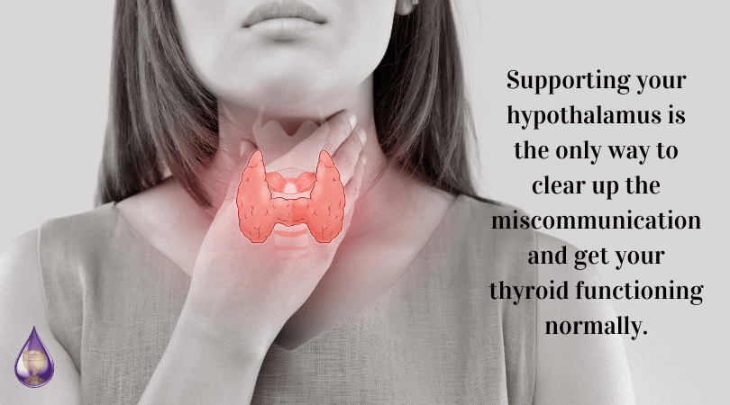 Hypothryoidism: Balance Your Thyroid Naturally