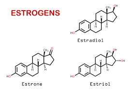 estrogen