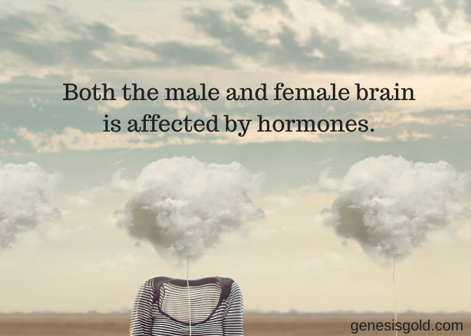 both male and female brains can be affected by hormones