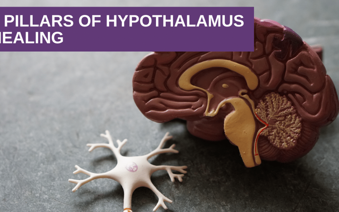 5 Pillars of Hypothalamus Healing