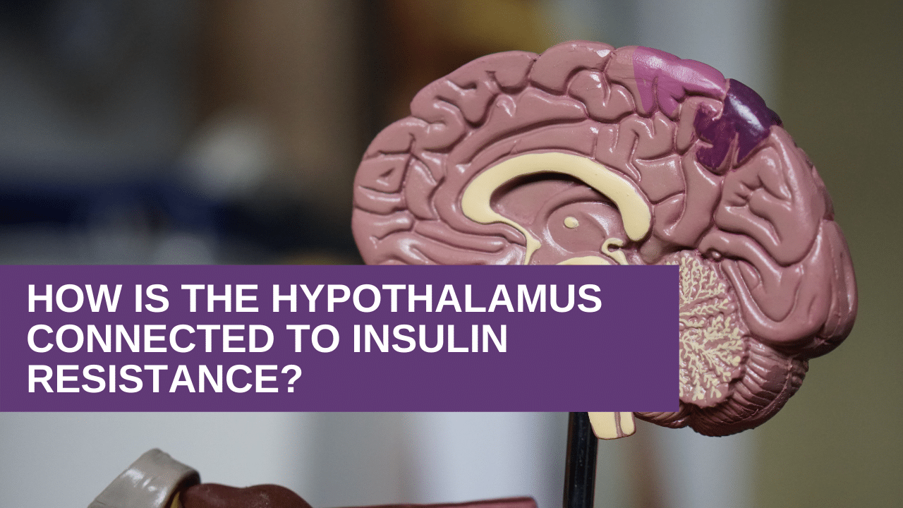 How is the hypothalamus connected to insulin resistance?