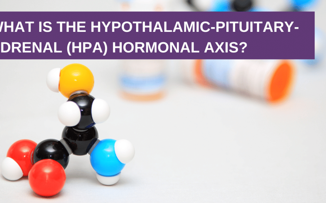 What is the HPA Hormonal Axis?