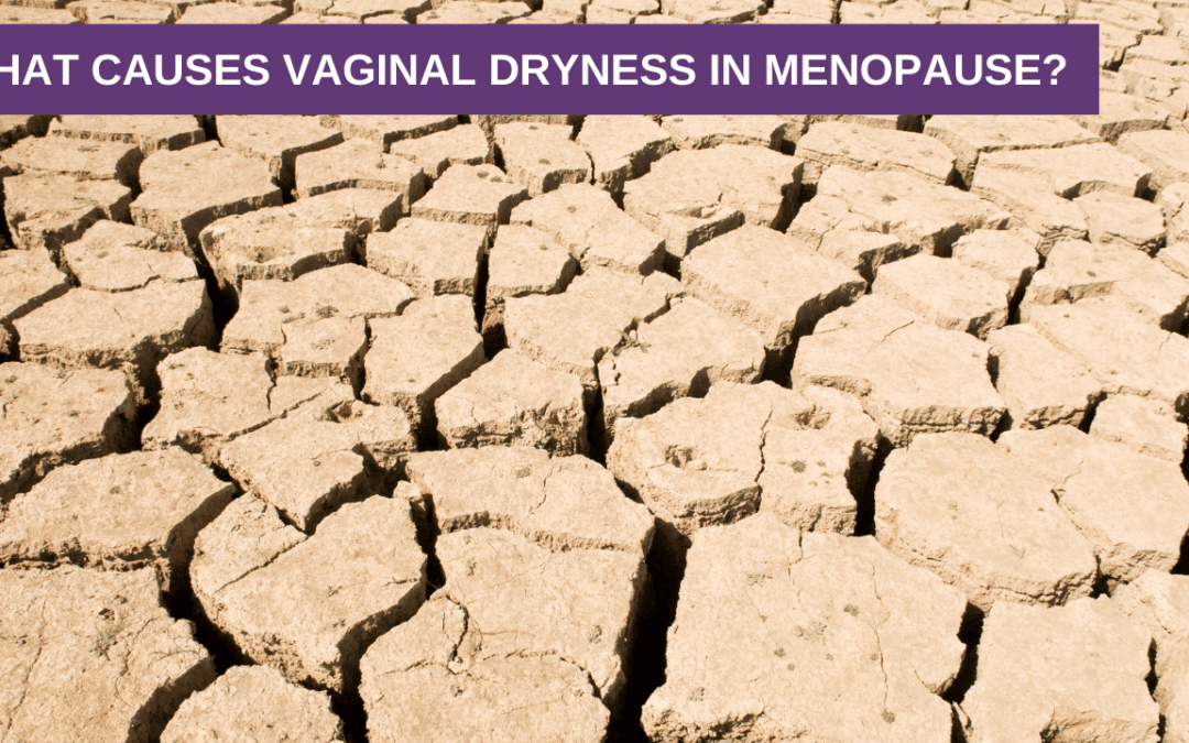 What Causes Vaginal Dryness in Menopause?