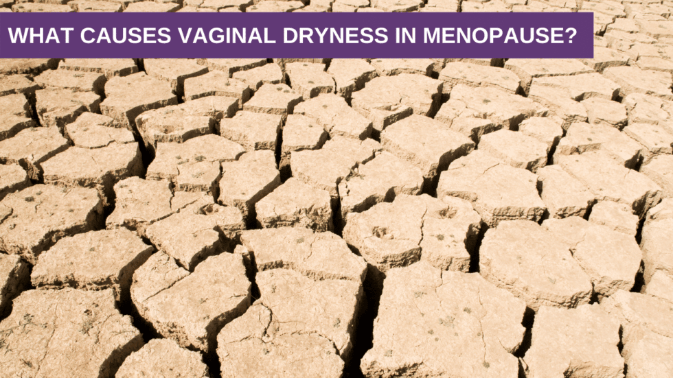 What Causes Vaginal Dryness in Menopause? Genesis Gold