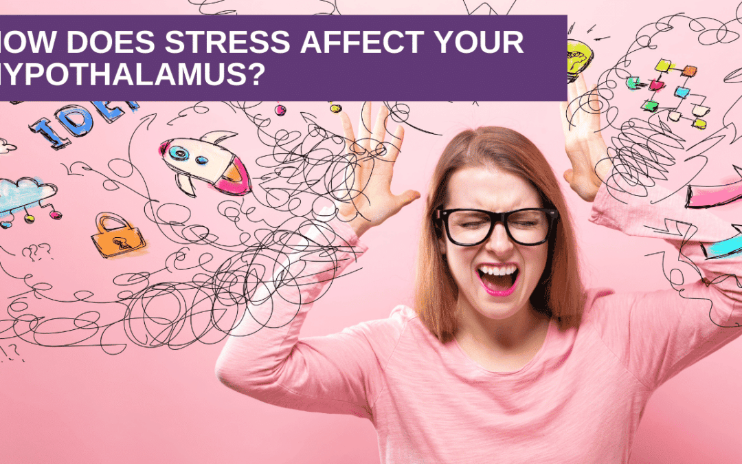 How Does Stress Affect Your Hypothalamus?