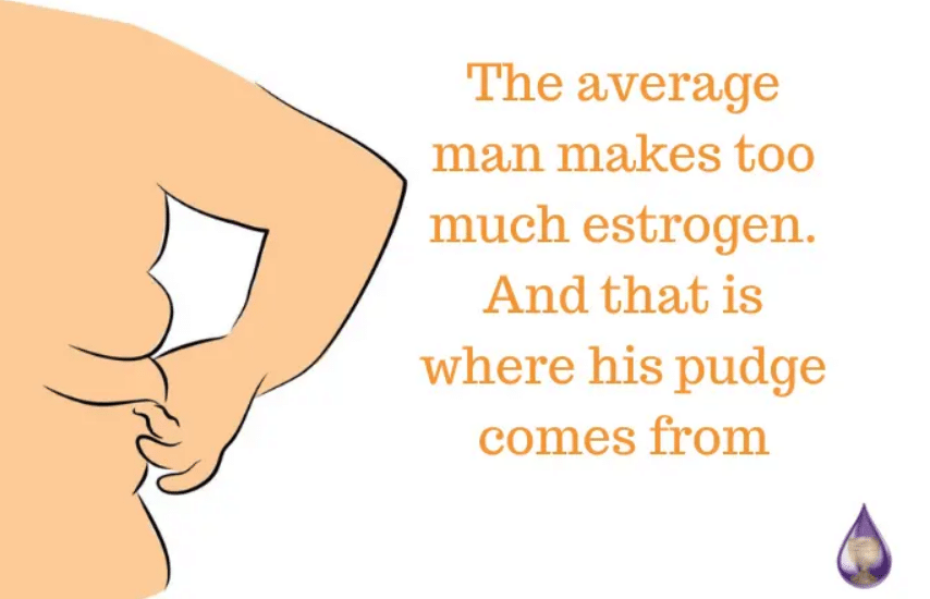 pudge comes from too much estrogen in men