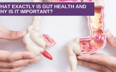 What Exactly is Gut Health and Why is it Important?