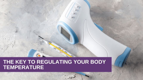 The Key to Regulating Your Body Temperature - Genesis Gold