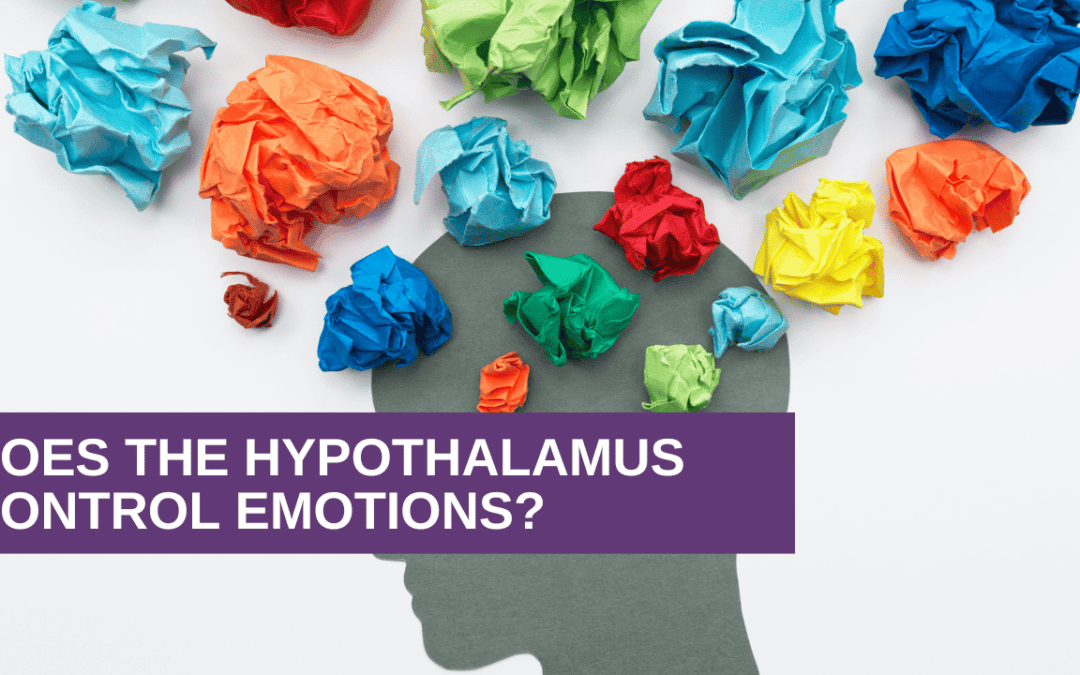 Does the Hypothalamus Control Emotions?