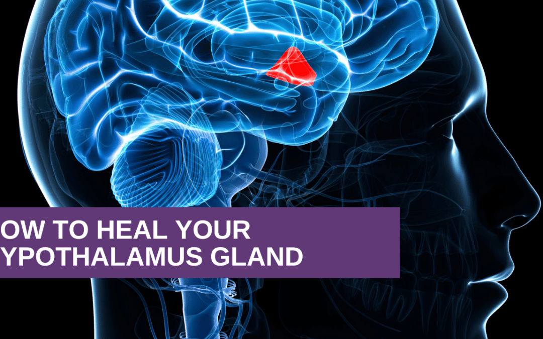 How to Heal Your Hypothalamus Gland