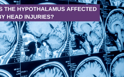Is the Hypothalamus Affected by Head Injuries?