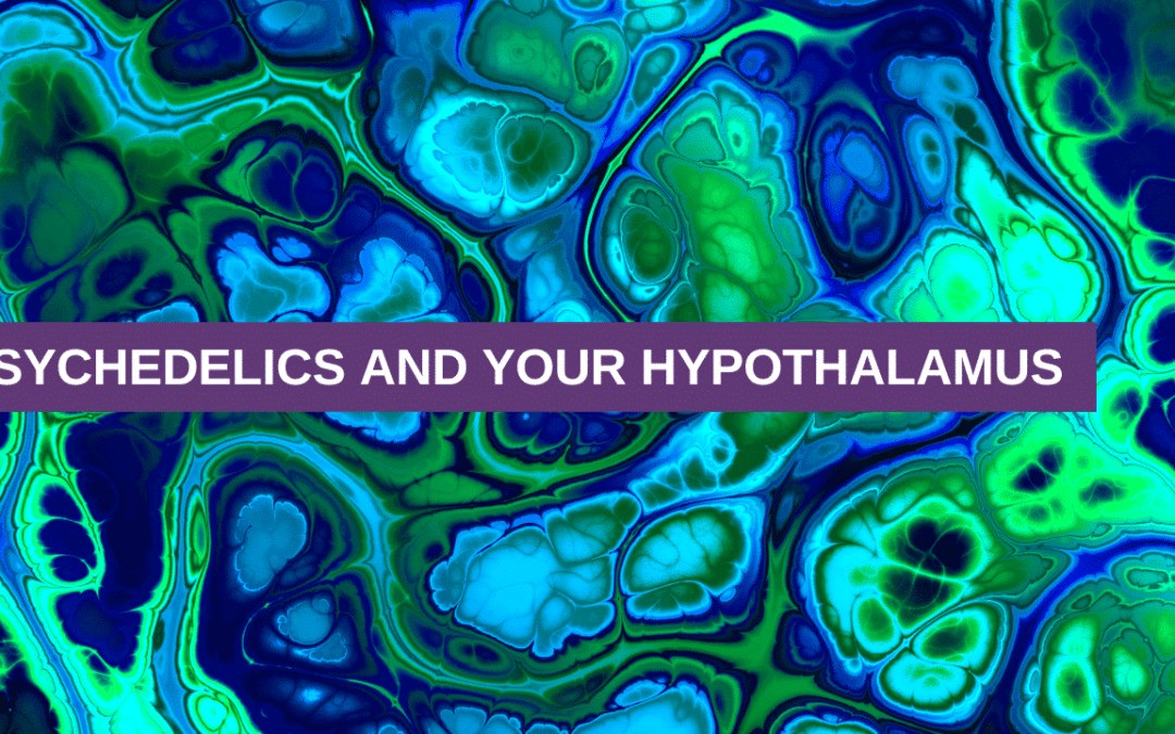 Psychedelics and Your Hypothalamus