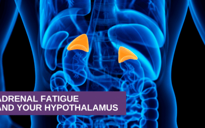 Adrenal Fatigue and Your Hypothalamus