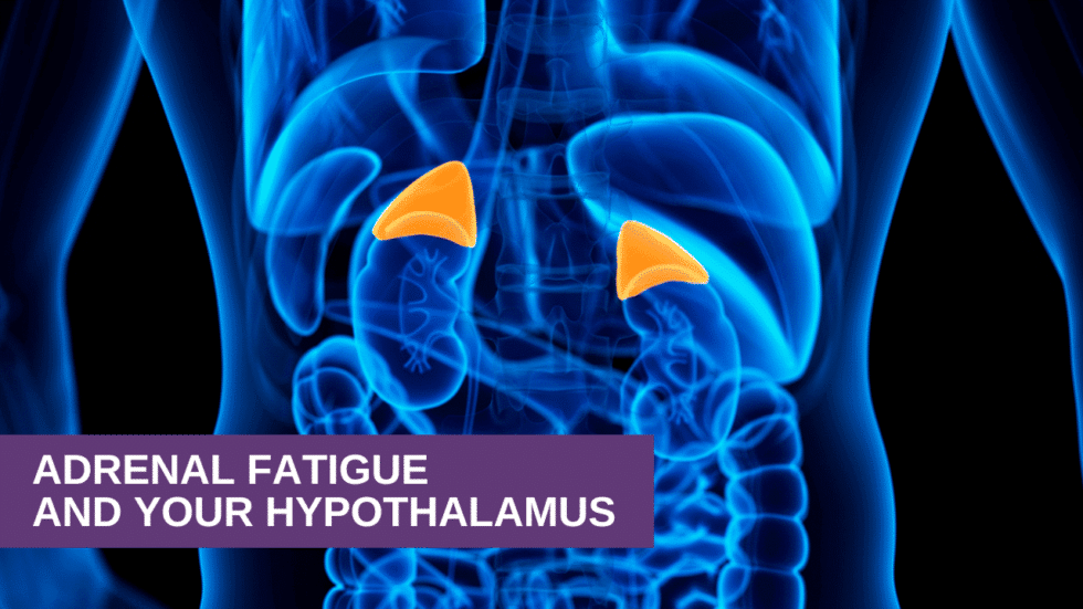 Adrenal Fatigue and Your Hypothalamus Genesis Gold