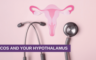 PCOS and Your Hypothalamus