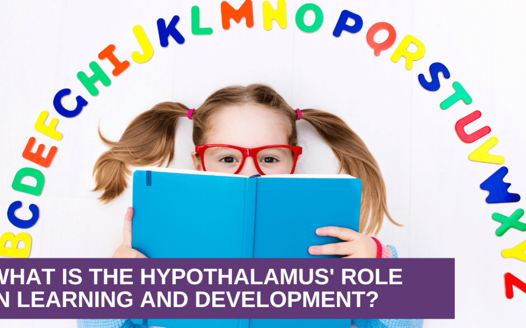 What is the Hypothalamus’ Role in Learning and Development?