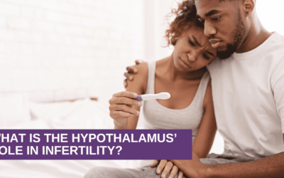 What is the Hypothalamus’ Role in Infertility?