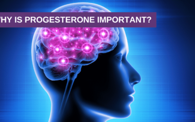Why is Progesterone Important?