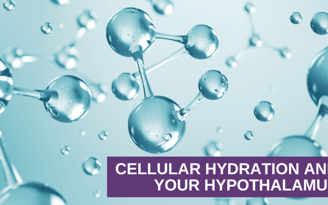 Cellular Hydration and Your Hypothalamus